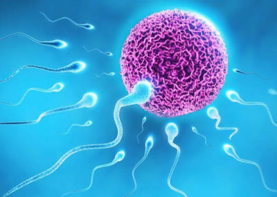 Home 4 male-infertility-treatment-in-jayanagar-bangalore